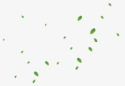 Oval Shape Png - Plot, Transparent Png, Free Download