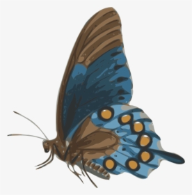 Butterfly Svg Clip Arts - Butterfly Side View, HD Png Download, Free Download