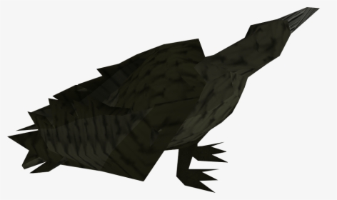 Turkey, HD Png Download, Free Download