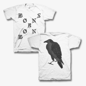 Crow T-shirt - Crow Resting On Wood Trunk, HD Png Download, Free Download