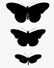 2267 Butterfly Silhouettes Free Vintage Clip Art➢ Download - Brush-footed Butterfly, HD Png Download, Free Download