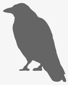 Crow Silhouette, HD Png Download, Free Download
