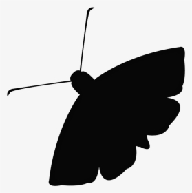 Moth Download Png Image - Moth Logo Png, Transparent Png, Free Download