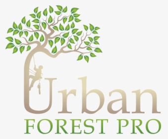 Urban Forest Pro 2 - Logo Urban Forest Pro, HD Png Download, Free Download