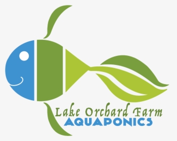 Lake Orchard Aquaponics - Pomacentridae, HD Png Download, Free Download