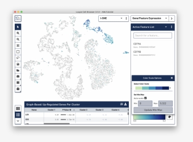 10x Genomics Loupe Browser, HD Png Download, Free Download