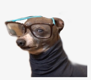 #cermet #cermit #kermit #jennamarbles #freetoedit - Dog With Turtleneck And Glasses, HD Png Download, Free Download