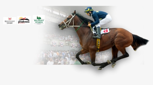 Cusiconage - Belmont Stakes, HD Png Download, Free Download