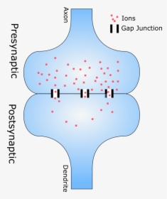 Electrical Synapse, HD Png Download, Free Download