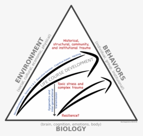 Radical Health Development Model - Triangle, HD Png Download, Free Download