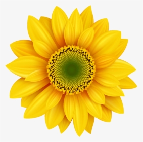 Royalty-free Photography Icon - Flor De Girassol Png, Transparent Png, Free Download