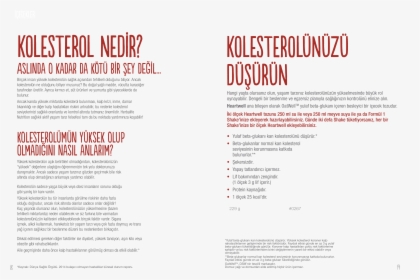Document, HD Png Download, Free Download