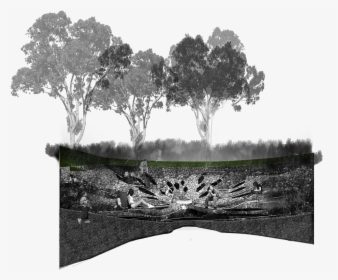 Photomontages And Sketches Of The Memorial - Memorial To Victims Of Violence Diagram, HD Png Download, Free Download