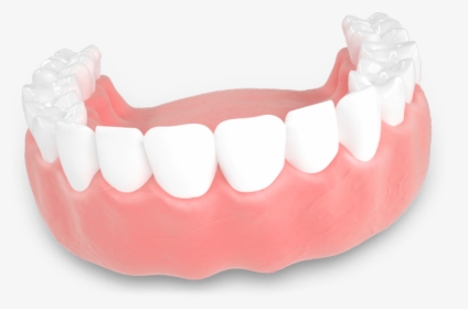 Dentures Model San Jose, Ca - Tongue, HD Png Download, Free Download