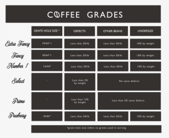 Coffee Grade Chart Kctc-01 - Coffee Grades, HD Png Download, Free Download