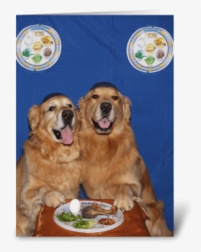 Golden Retriever Passover Seder Blessing Greeting Card - Dog Catches Something, HD Png Download, Free Download
