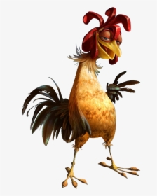 S Up Wiki - Chicken Joe, HD Png Download, Free Download