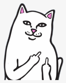 20 Rip N Dip Png For Free Download On Ya - Cat Middle Finger Wallpaper Hd, Transparent Png, Free Download