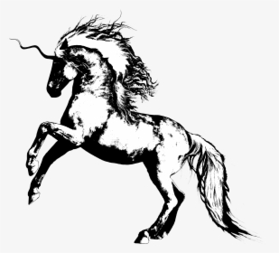 Mane, HD Png Download, Free Download