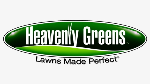 Artificial Grass In Modesto, Ca - Heavenly Greens, HD Png Download, Free Download