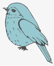 Bird-icon - Mountain Bluebird, HD Png Download, Free Download
