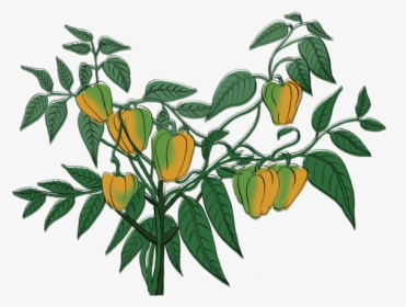 Clip Art, HD Png Download, Free Download