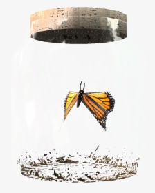 Clip Art Elder Scrolls Fandom Powered - Butterfly In A Jar Skyrim, HD Png Download, Free Download