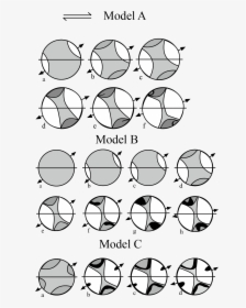 C-axis Development Of Model Quartizite A, B, And C - Circle, HD Png Download, Free Download