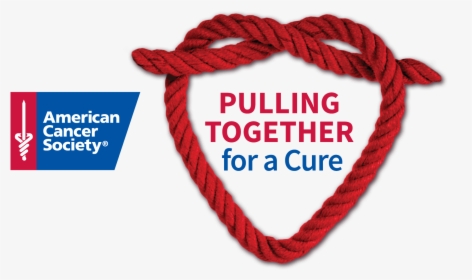 Thumb Image - American Cancer Society, HD Png Download, Free Download
