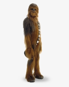 " - Chewbacca Png, Transparent Png, Free Download
