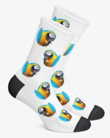 Sock, HD Png Download, Free Download