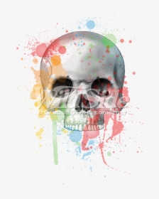 Transparent Splatters Png - Skull, Png Download, Free Download