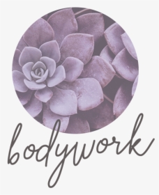 Holistica Denver Bodywork Thumb - Dahlia, HD Png Download, Free Download