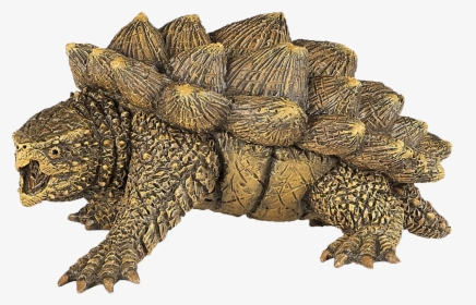 Alligator Snapping Turtle, HD Png Download, Free Download