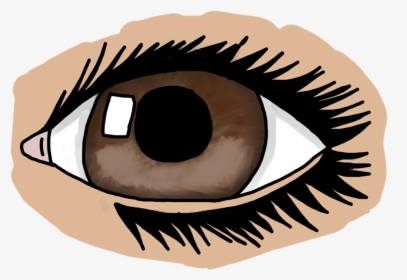 Eye Clipart Realistic, HD Png Download, Free Download
