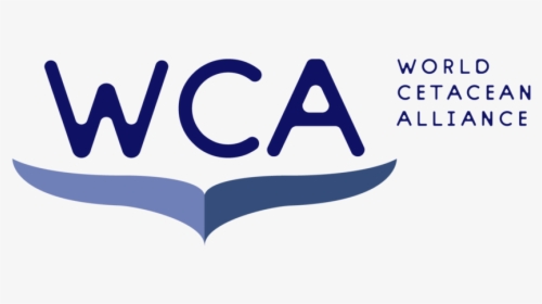 Wca Logo, HD Png Download, Free Download