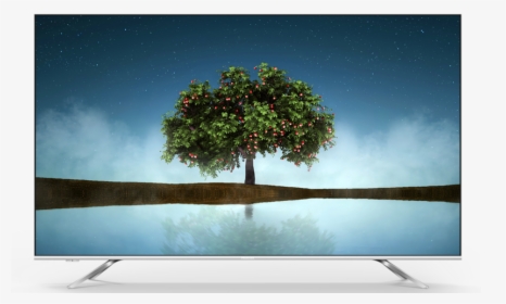 Hisense Uhd 4k Tv A7010 - Tree, HD Png Download, Free Download