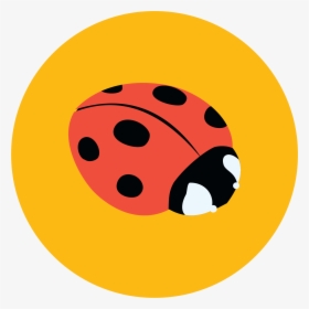 Ladybug, HD Png Download, Free Download
