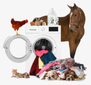 Bedding Wash Pets On Washer - Dog Pile Of Clothes, HD Png Download, Free Download