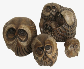 Owl, HD Png Download, Free Download
