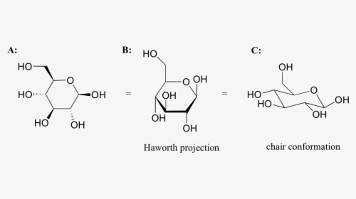 Image172 - Glyceraldehyde Haworth Projection, HD Png Download, Free Download