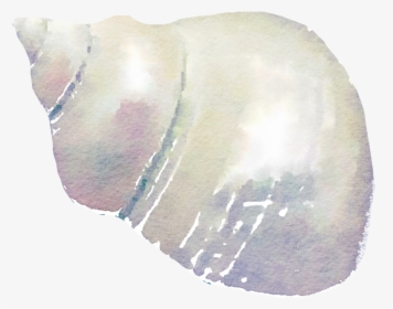 Transparent Muschel Clipart - Painting Of Seashell, HD Png Download, Free Download