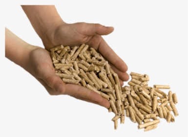 Hands Scooping Up Pellets - Jiya Eco Product Hd, HD Png Download, Free Download