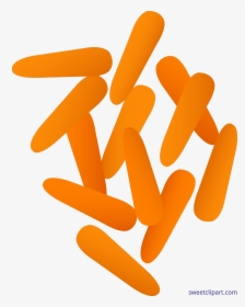 Carrots Clip Art Sweet - Carrots Clip Art, HD Png Download, Free Download