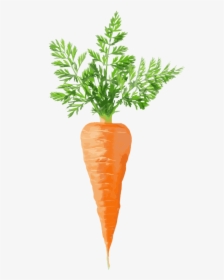 Carrot - Carrot Fruit, HD Png Download, Free Download