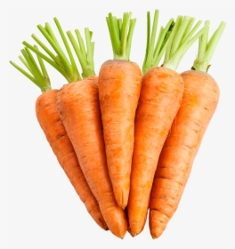 1 Carrots, HD Png Download, Free Download