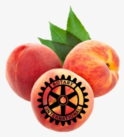 Peach State Pets - Rotary Club Of Edmonton Logo, HD Png Download, Free Download