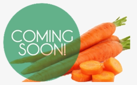 Carrots Coming Soon Hd Png Download Kindpng
