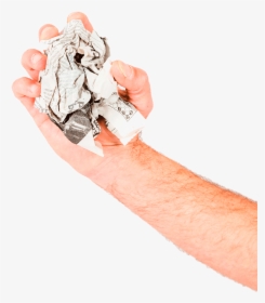 Paper - Chinchilla, HD Png Download, Free Download