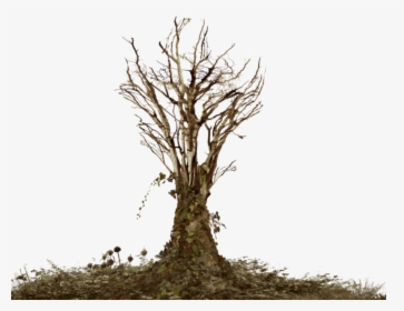 Dead Tree With Ivy Png Landsc - Dead Tree Png Transparent, Png Download, Free Download